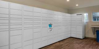 Autumn Chase Gallery 13