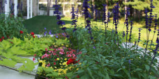 The Pines at Mount View - Senior Housing Gallery 9
