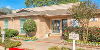 Summer Creek Gallery 15