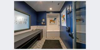 Muir Lake Gallery 30