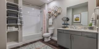 Aspire at Tampico Gallery 7