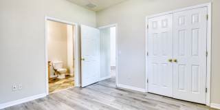 Silver Springs Gallery 4