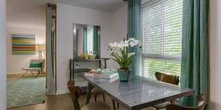 Steeplechase Gallery 21