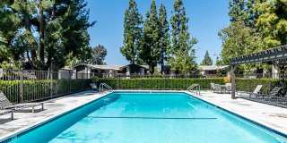 Portola Redlands Gallery 14