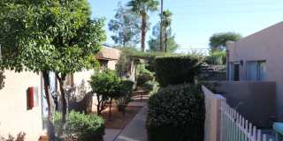 Palm Garden Gallery 20