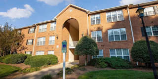 Abbotts Creek Gallery 38