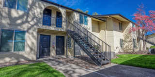 PepperTree Village Gallery 26