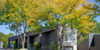 Sandpiper Gallery 13