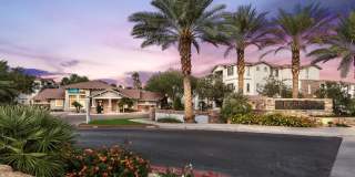 Borrego at Spectrum by Mark-Taylor Gallery 13