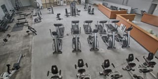 Mansion House Gallery 19