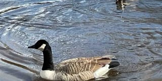 Park View Hills Condominium Gallery 16