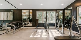 Kallisto at Bear Creek Gallery 7