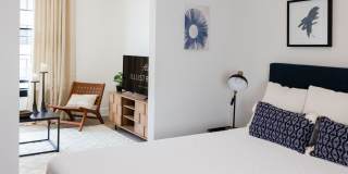 Illustrator Gallery 22