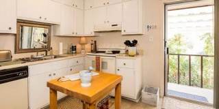 Dresden Forest Gallery 3