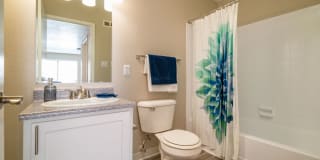 Dorado Heights Gallery 15