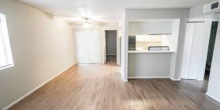 Trenton Place Gallery 5