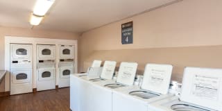 The Woodlands The Woodlands Gallery 25