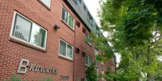 Winchester & Browning Gallery 11