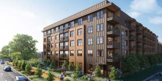 The Waylon Gallery 9