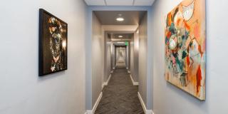 Prospect on Central Gallery 1