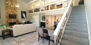 Alexis Park Gallery 23