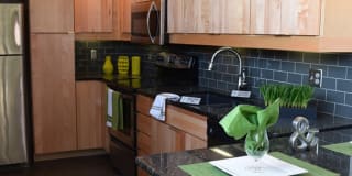 Plant 1 Plant 1 Gallery 2