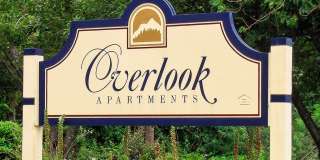 Overlook Overlook Gallery 19