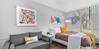 The Incline Apartments and Studios Gallery 4