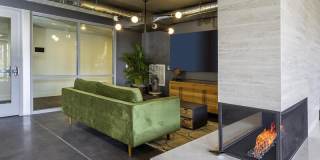 Lotus Republic Gallery 60