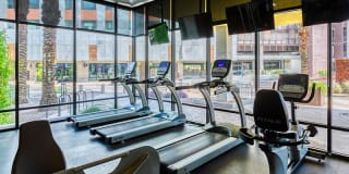 Agave 350 Gallery 34