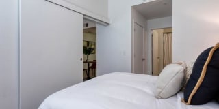 Agave 350 Gallery 12