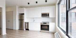 Curio 269 Curio 269 Gallery 1