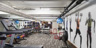 254 College Street Gallery 3