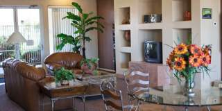 Palm Terrace Gallery 5