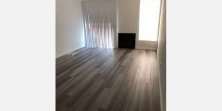 6510 La Mirada Ave Gallery 5