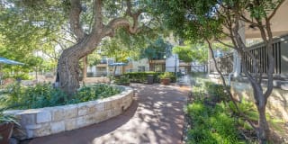 Rocking Horse Ranch Gallery 30