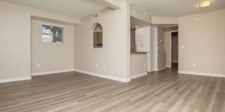 Augustine at Glendale Gallery 4