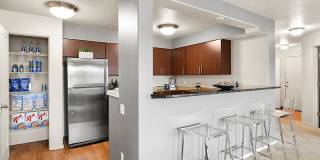 Baseline Woods Gallery 2