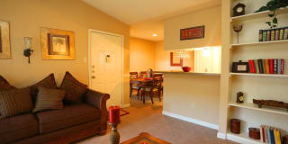 Windchase Hamlet Apartments Gallery 2