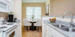 Stone Mist Gallery 14