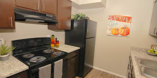 The Brixton Gallery 1