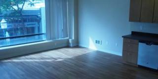 Yugo Seattle Lothlorien Gallery 35