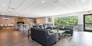Tanglewood Village Gallery 6