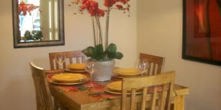 Raintree Apartment Homes Gallery 5