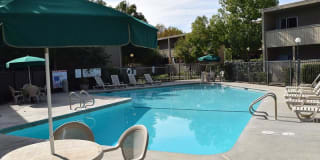 Amber Grove Gallery 4