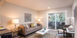 Solis Garden Gallery 2