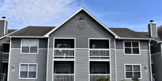 Stone Ridge Apartments Gallery 10