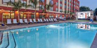 The Bernice Gallery 33