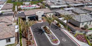 TerraLane on Cotton Gallery 12