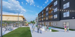 The Taylor Gallery 6